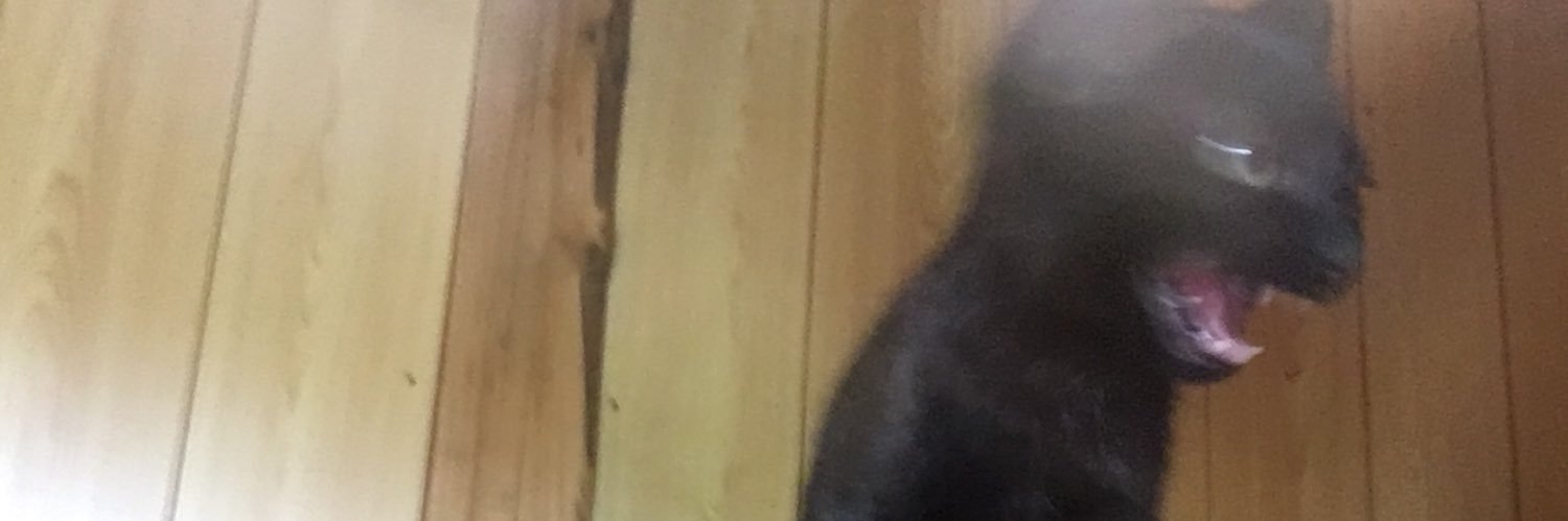 wougust banner