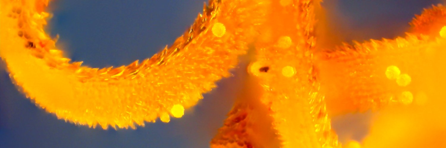bjtoomey's profile banner image