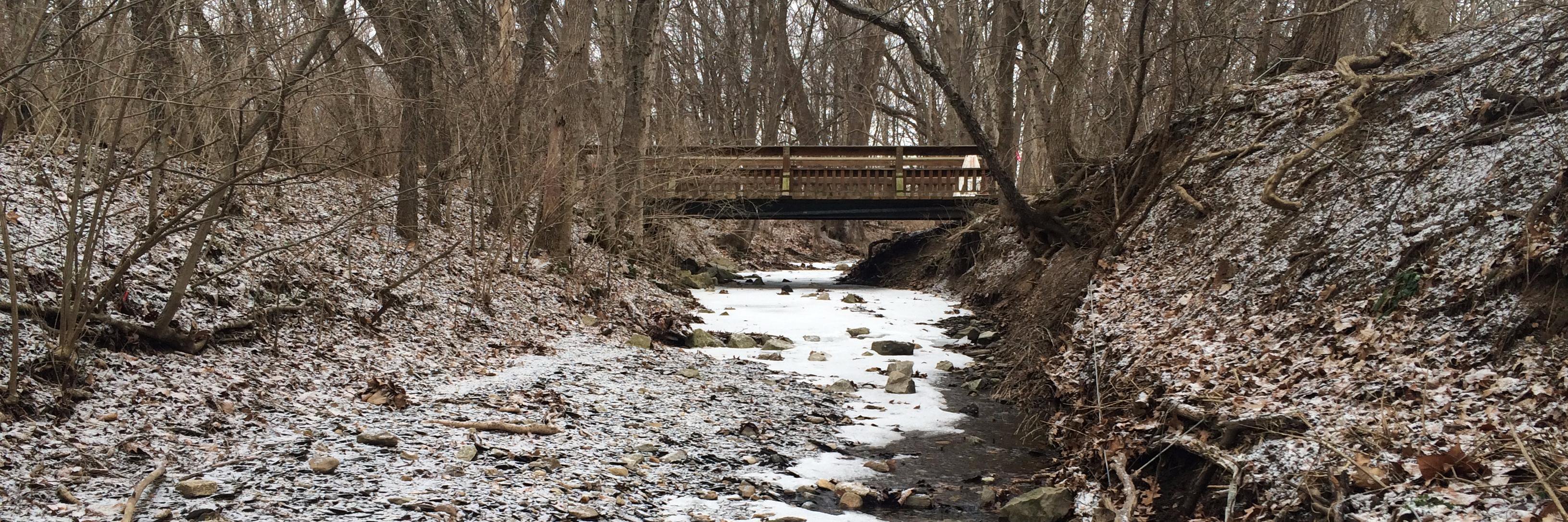 Daniel Symonds banner