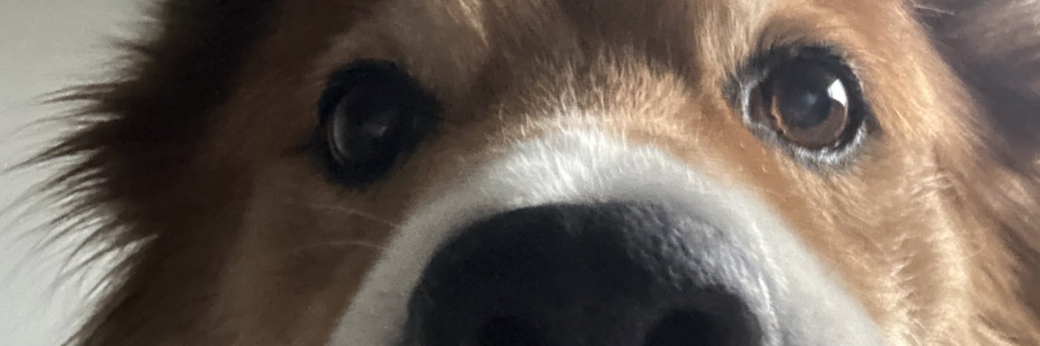 _hexaflexa's profile banner image
