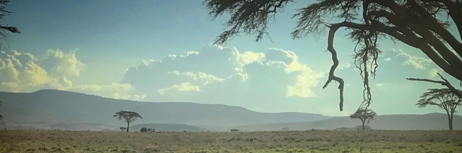 DominicMurray1's profile banner image