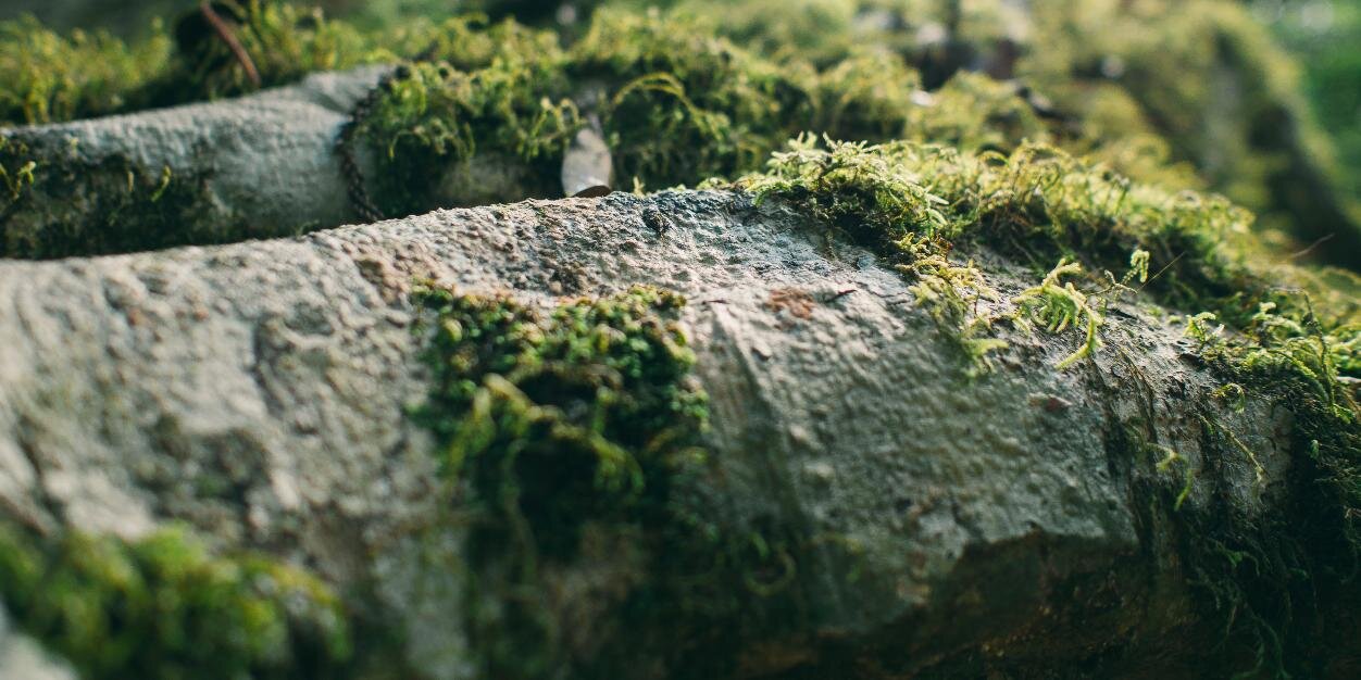 thepetergrant's profile banner image