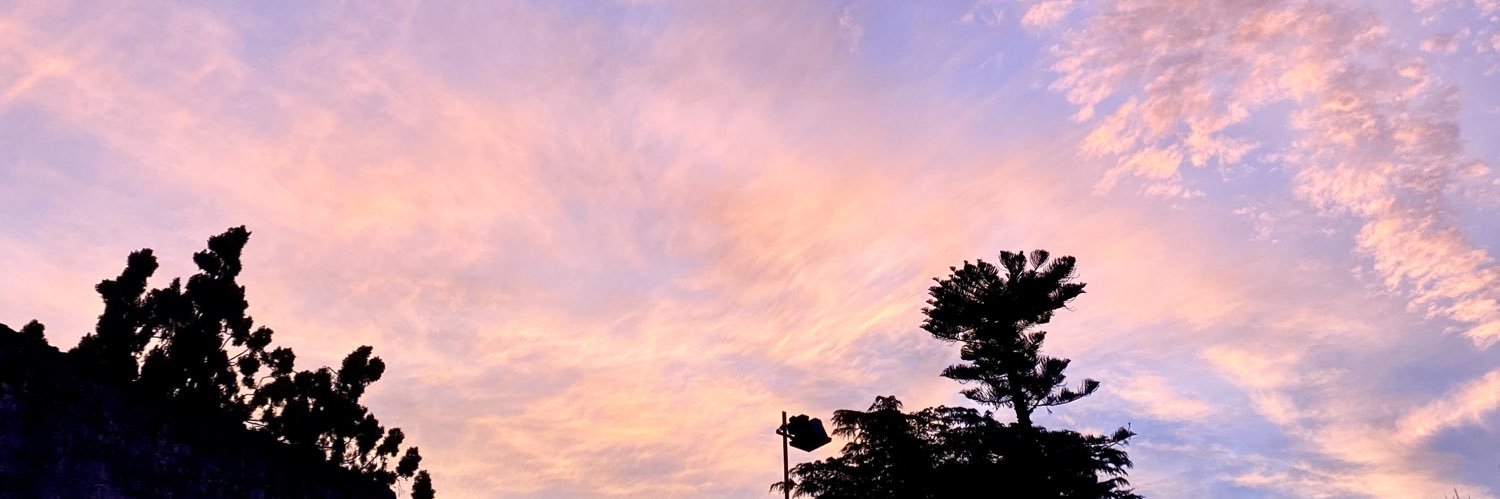 Sofii_Chinii's profile banner image