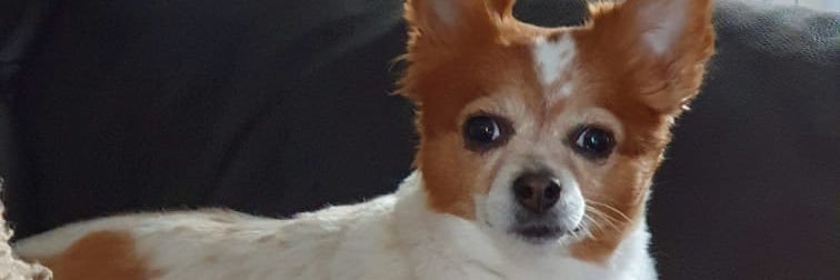 GeorgiaBowring's profile banner image