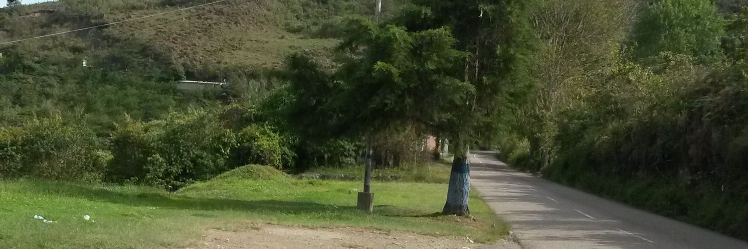 BohadaDoris's profile banner image