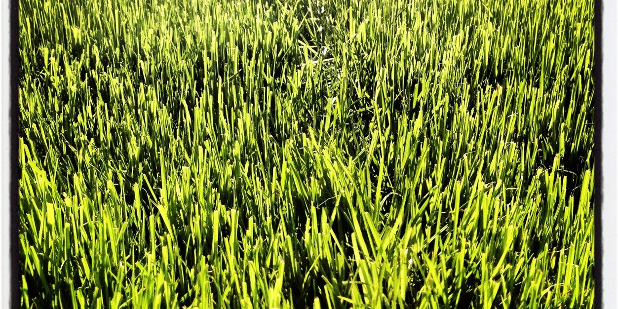 davekujo's profile banner image