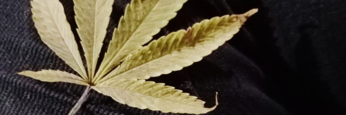 Andresagf56's profile banner image