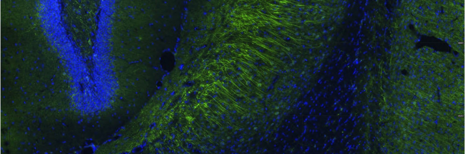 Janet L. Cunningham banner