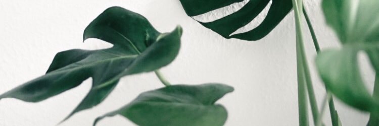 Juilleet's profile banner image