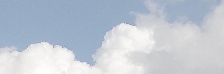 eggplantsam's profile banner image