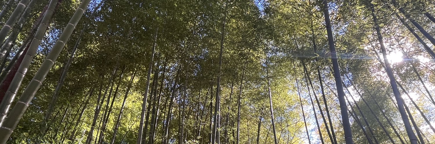 ハレムラー banner