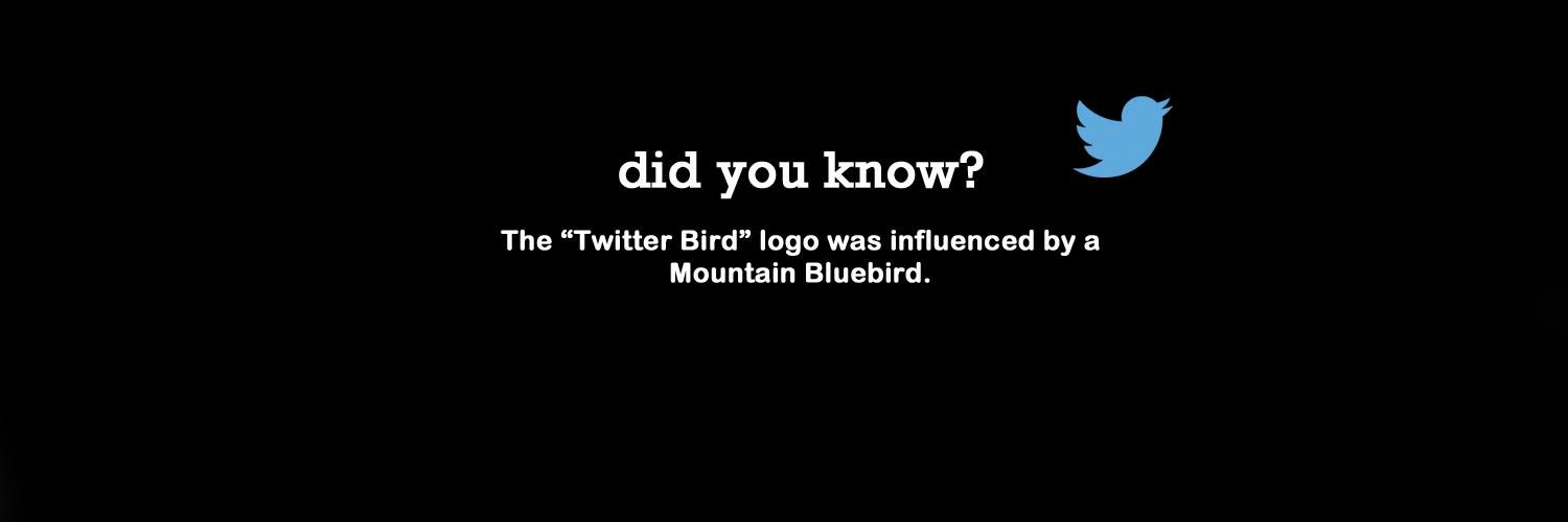 Did You Know? banner