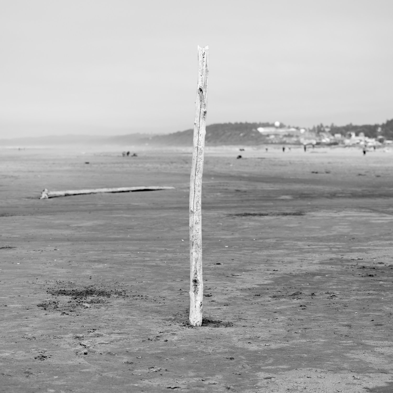 GregAllum's profile banner image