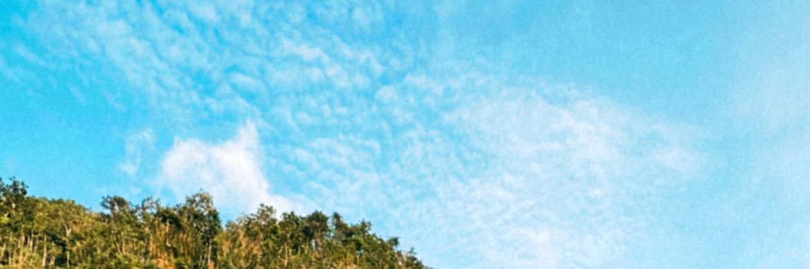 bbasaros's profile banner image