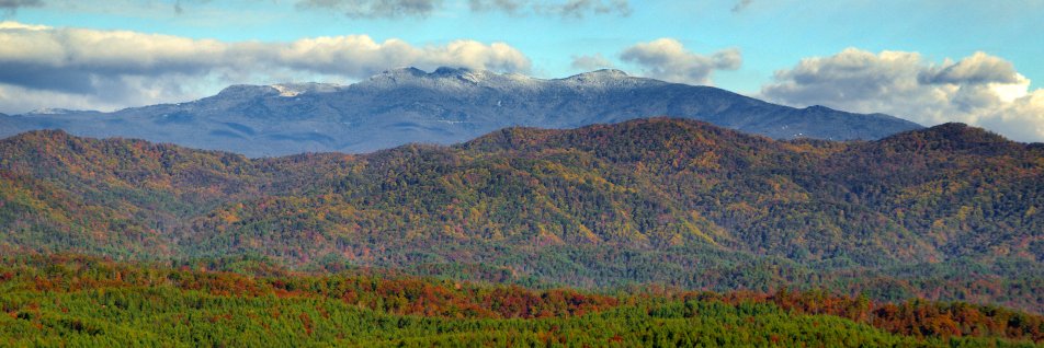thecovesnc's profile banner image