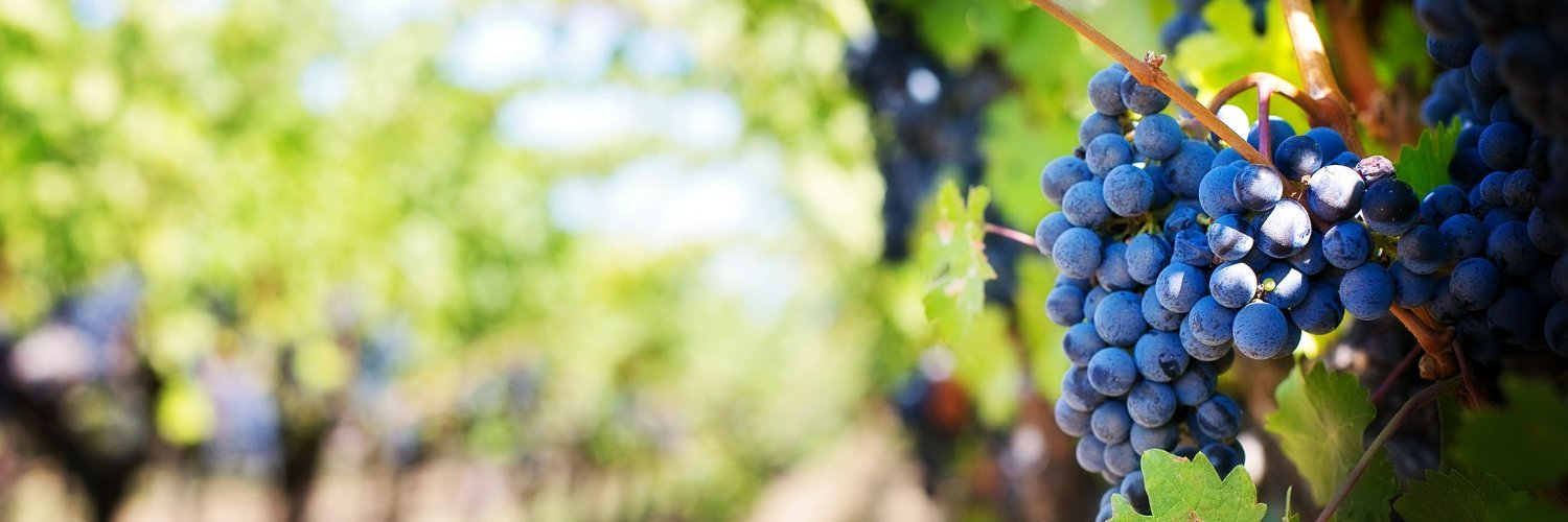 SunsetWineryTX's profile banner image