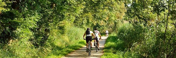 Chris G Soto 🍥 banner