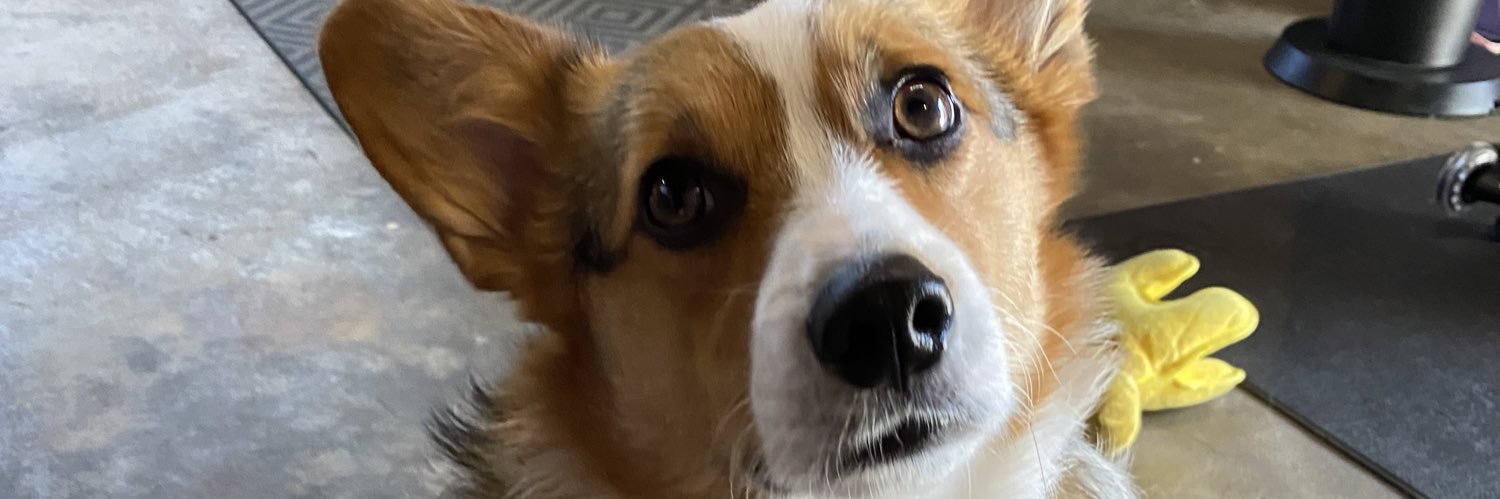 thefallasfam's profile banner image