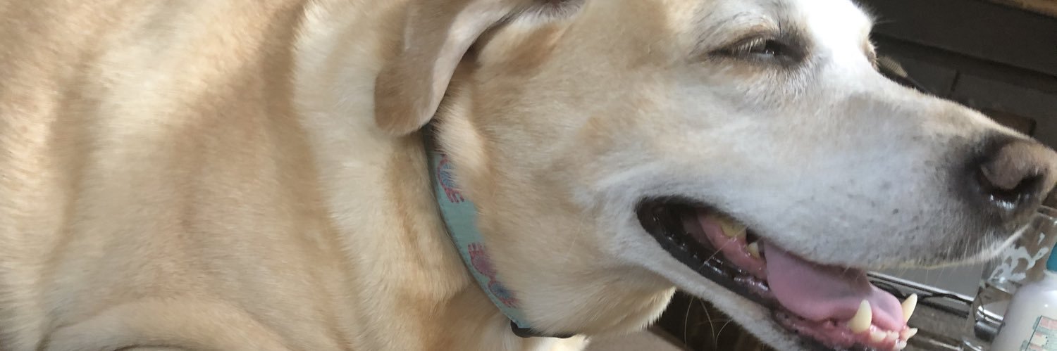 RandyStrongarm's profile banner image