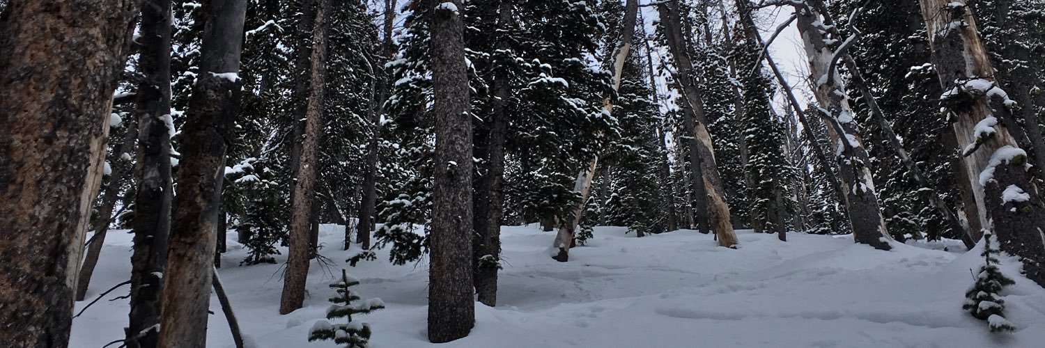 saigeanne53's profile banner image