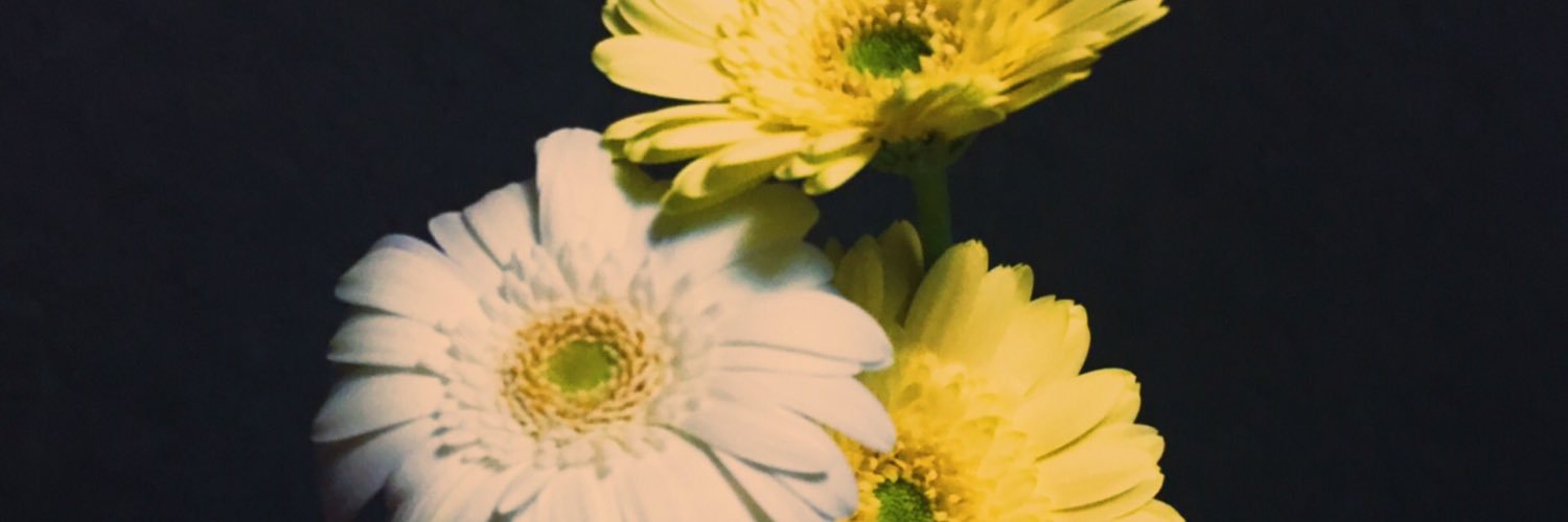 445tooo's profile banner image