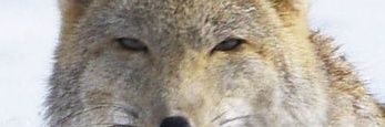 gobrexgo's profile banner image
