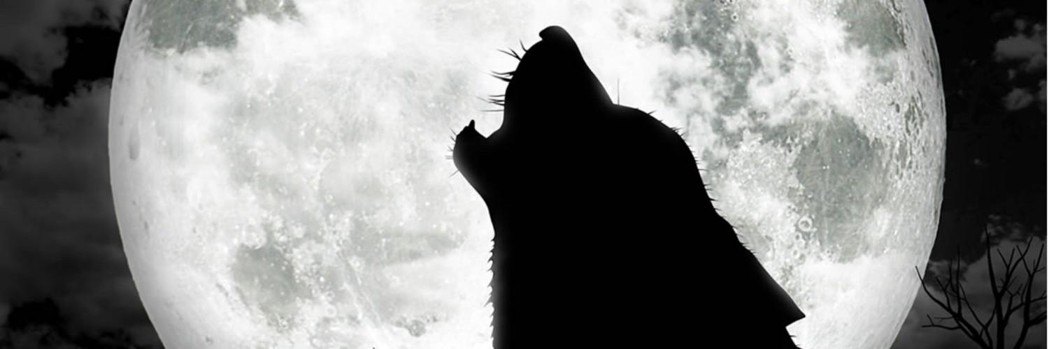 werewolf_Anna's profile banner image