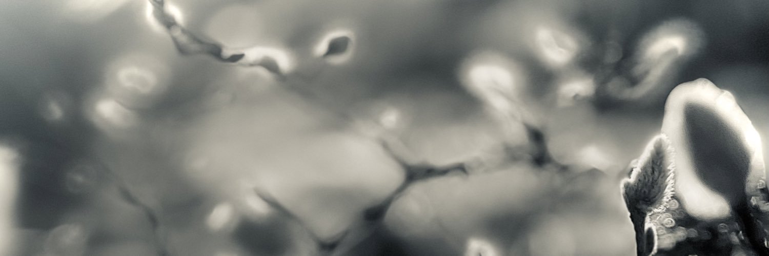 Brian Federal banner