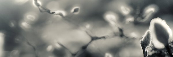 brianfederal Profile Banner