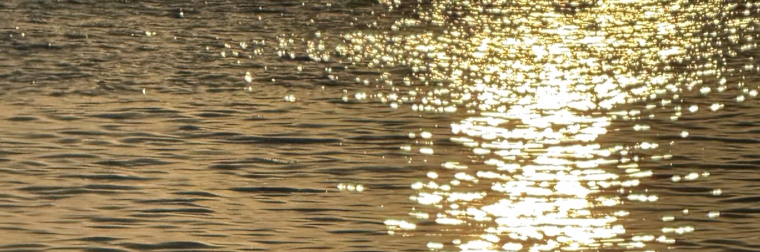 delfilapenta's profile banner image