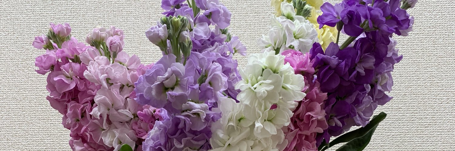 kinki_for's profile banner image