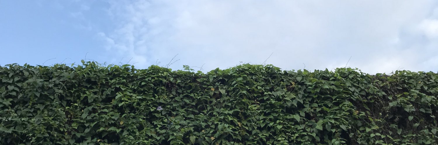 syaaiizz's profile banner image