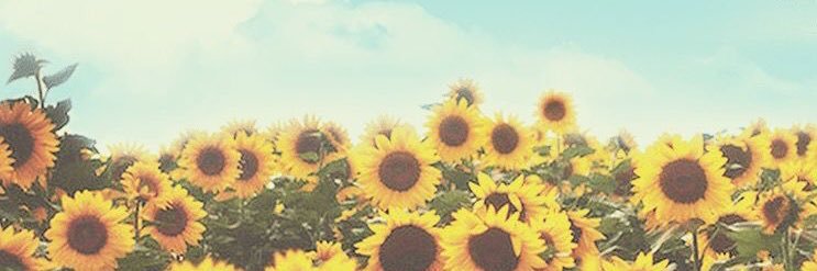 ndnd2nd's profile banner image