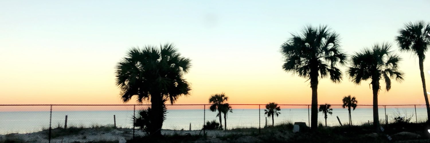 breannahoskinss's profile banner image