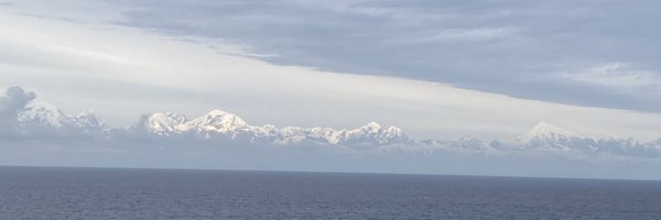 FizzleTheHizzle Profile Banner