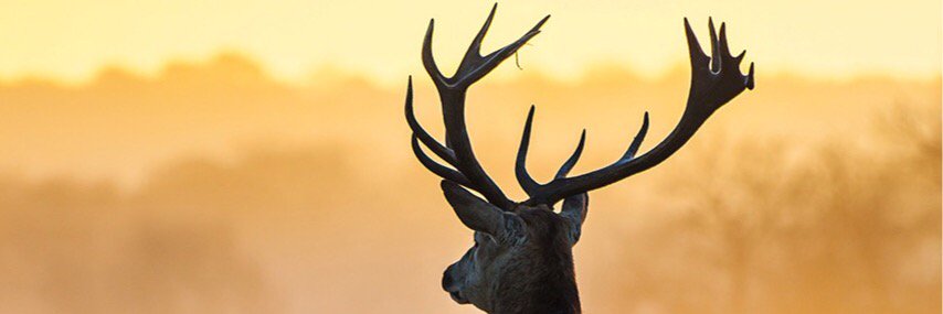 Ty_Brown13's profile banner image