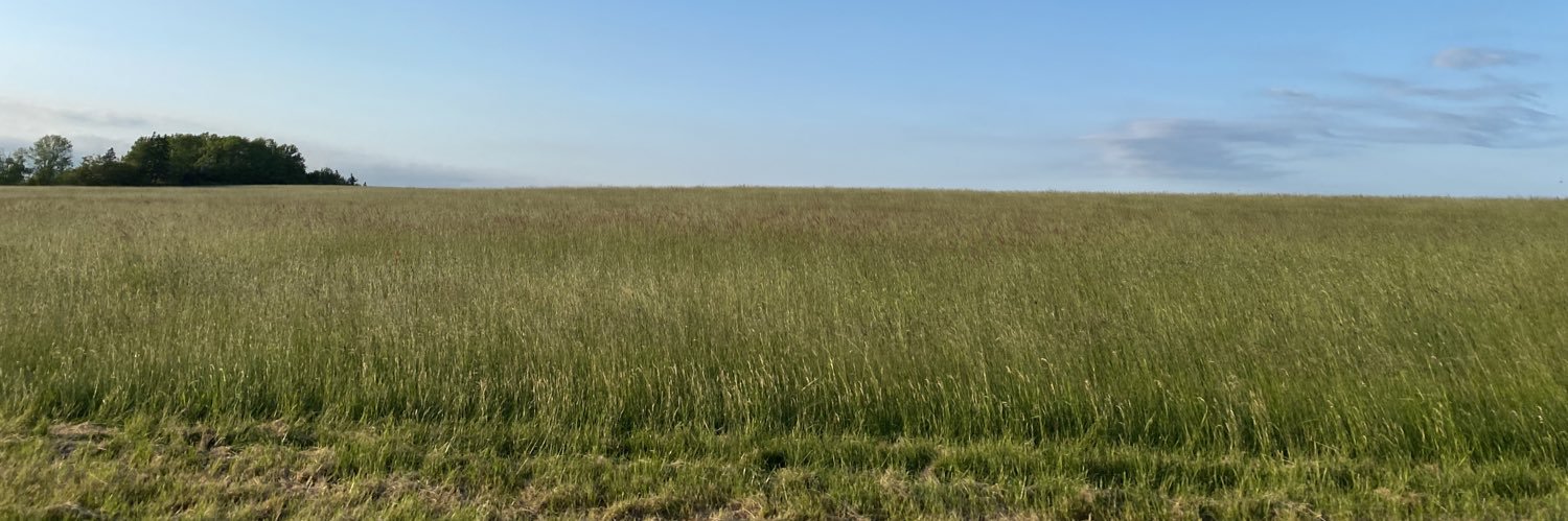 gutslut's profile banner image