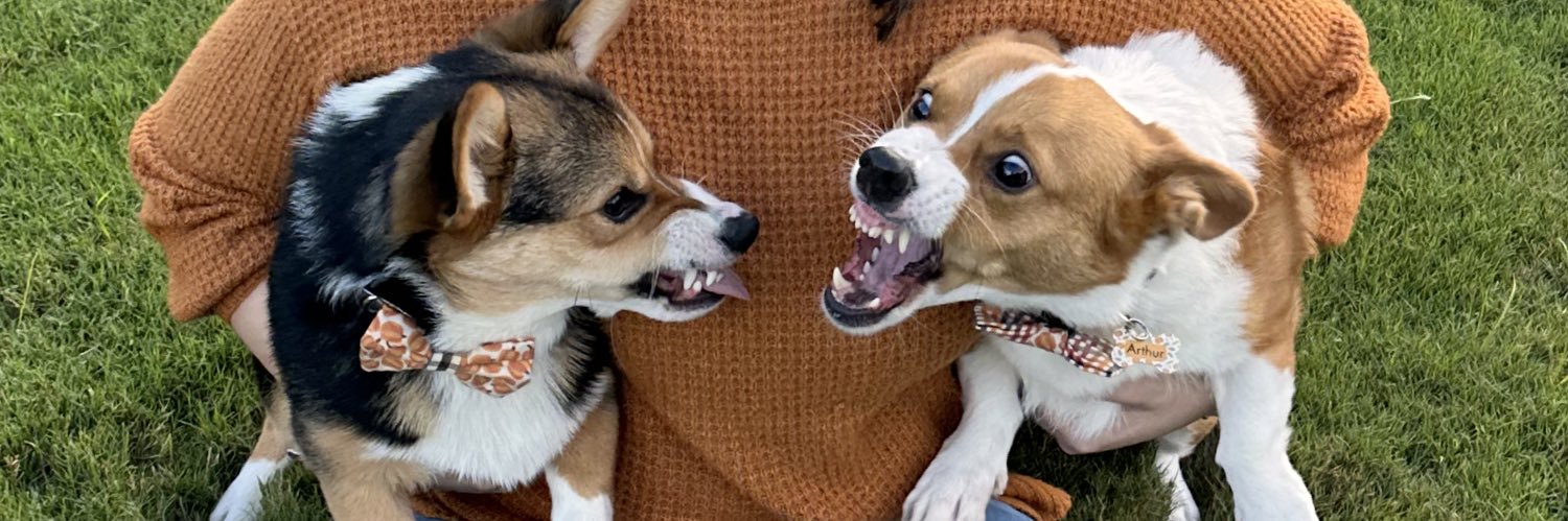 meggsscrambled's profile banner image