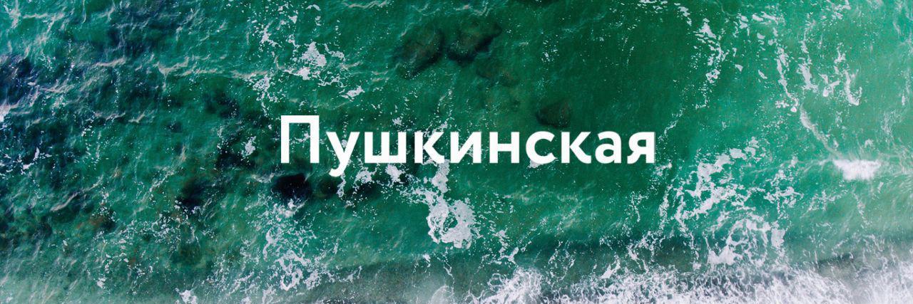 pushkinska_net's profile banner image