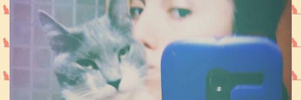 SoolPacheco's profile banner image