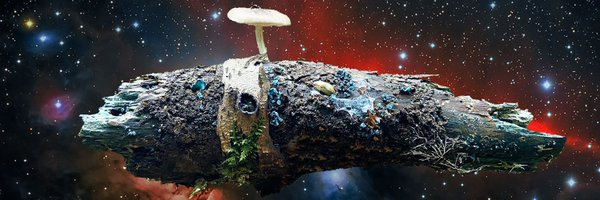 Mycelial Profile Banner