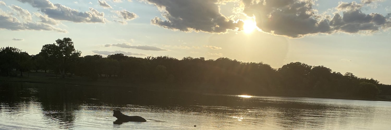 PMadi_7's profile banner image