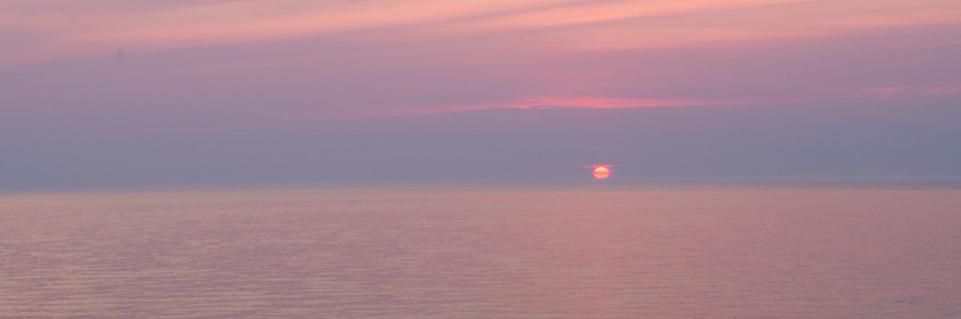 allycemorgan's profile banner image