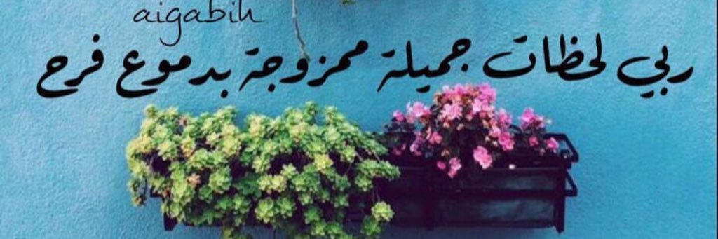 flweer999's profile banner image