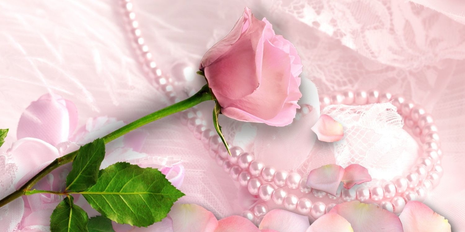 roseaaaaaaa99's profile banner image
