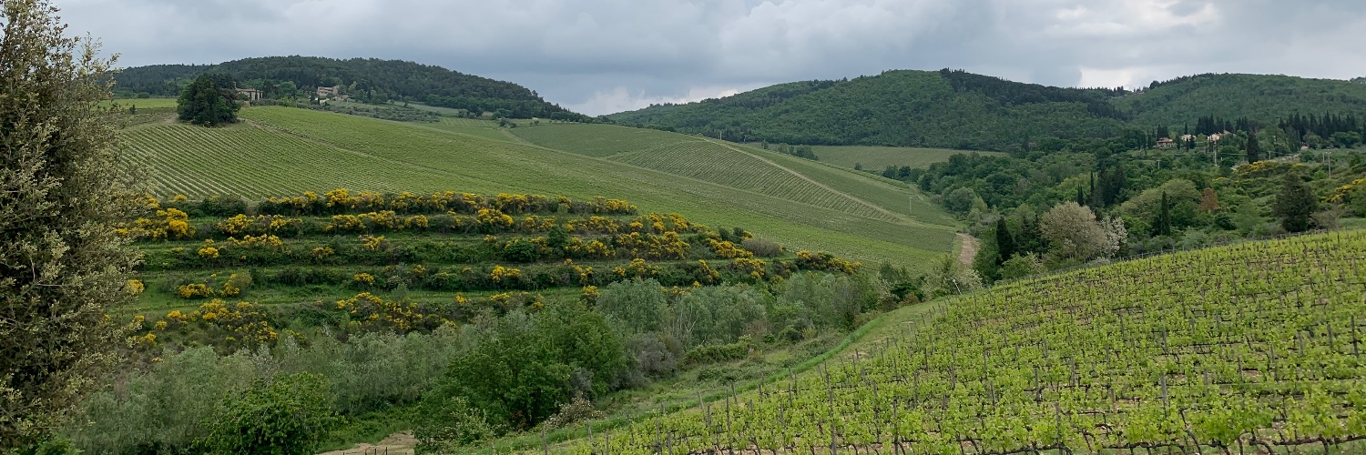 Brian Howells banner