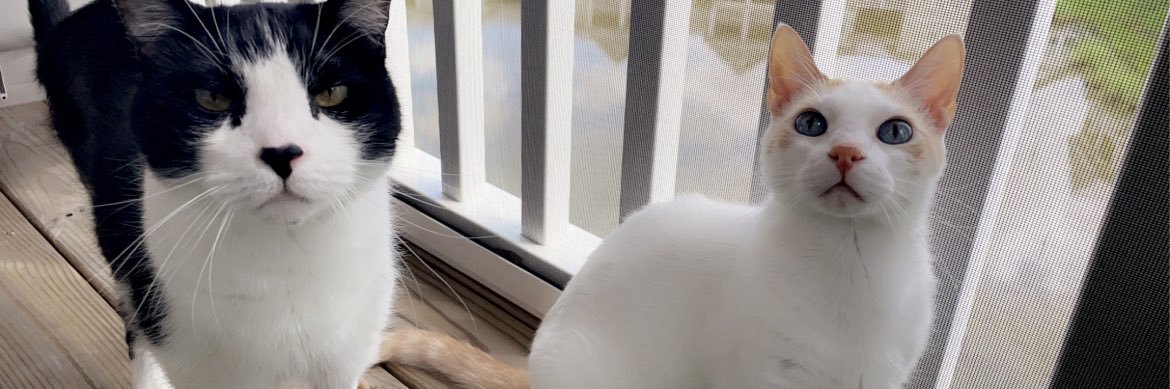 DylanYannucci7's profile banner image