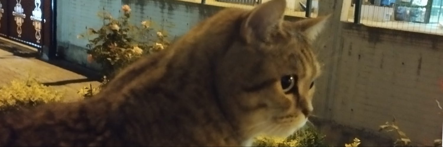 denolass's profile banner image