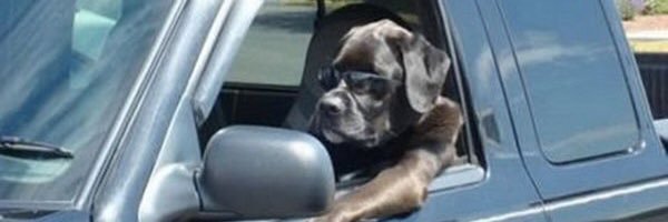 peterpetereater's profile banner image