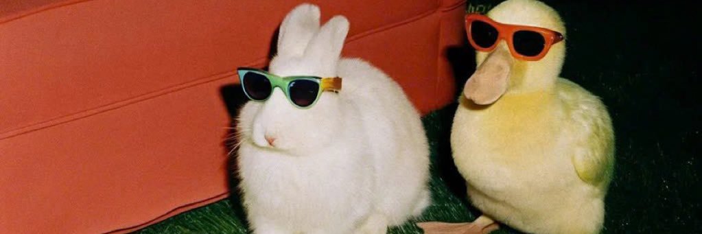 percybrownie's profile banner image